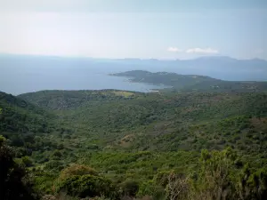 Chiavari forest - Hills covered with forests, the Mediterranean sea and the coasts far off