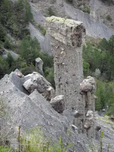 Chimeneas de brujas de Théus - Salón de baile: chimeneas de hadas (columnas) y los árboles