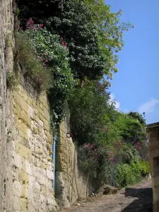 Chinon - Subida ao castelo