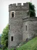 Chouvigny峡谷 - Chouvigny城堡的Crenellated塔俯视Sioule峡谷