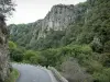 Chouvigny峡谷 - Gorges de la Sioule：道路峡谷，树木和岩石面（悬崖）