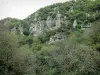 Chouvigny峡谷 - Gorges de la Sioule：岩壁和树木