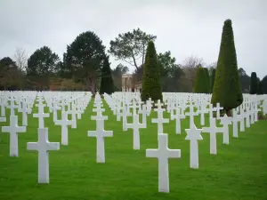 Cimetière américain de Colleville-sur-Mer - Tombes du cimetière militaire américain et arbres