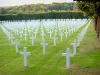 Cimetière américain de Romagne-sous-Montfaucon - Croix blanches des tombes du cimetière américain