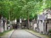 Cimetière du Père-Lachaise - Allée bordée de sépultures et d'arbres