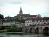 Cinza - Ponte florida, abrangendo o rio (Saône), árvores, casas e Basílica Notre-Dame