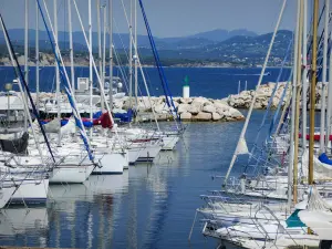 A Ciotat - Barcos na marina