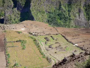 Cirque de Cilaos - Chemin bordé de champs