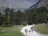 Cirque de Gavarnie - Randonneurs sur le chemin qui mène au pied du cirque, arbres et montagnes en arrière-plan ; dans le Parc National des Pyrénées