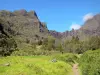 Cirque de Mafate - Parc National de La Réunion : paysage verdoyant du cirque naturel de Mafate avec vue sur le Taïbit