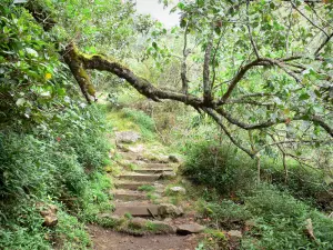 Cirque de Mafate - Voetpad in de natuur Reunion