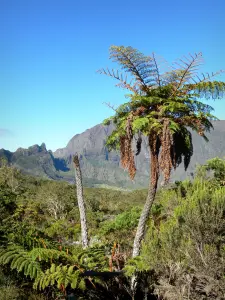 Cirque de Mafate - Landschap van Mafate