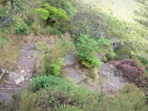 Cirque de Mafate - Trail bedragen Col des Boeufs