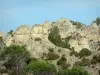 Cirque de Mourèze - Cirque dolomitique : rochers (roche), arbres et arbustes