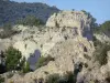 Cirque de Mourèze - Cirque dolomitique : rochers (roche) et arbustes