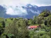 Cirque de Salazie - Casas en un área verde