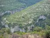 Cirque de Vissec - Vue sur les falaises (parois rocheuses), les arbres et la végétation du cirque naturel