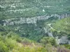 Cirque de Vissec - Vue sur les falaises (parois rocheuses), les arbres et la végétation du cirque naturel