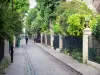 Cité des Fleurs - Voie pavée bordée de jardins arborés