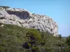 Clape massif - Regional Natural Park of Narbonne in the Mediterranean: vegetation and rocky escarpment