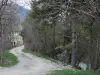 Clarée谷 - 树被排行的道路