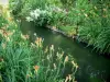 Claude Monet’s house and gardens - Monet's garden, in Giverny: water garden: small stream lined with blooming lilies