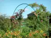 Claude Monet’s house and gardens - Monet's garden, in Giverny: Norman enclosure: arches adorned with blooming rose bushes, orange lilies