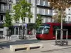 Clermont-Ferrand - Tramway, arbres et façades d'immeubles