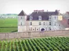 Clos de Vougeot castle - Château surrounded by vineyards, in the heart of the Côte de Nuits vineyards