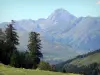 Col d'Aspin - Depuis le col, vue sur les arbres et les montagnes des Pyrénées environnantes