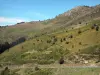 Col d'Aspin - Route menant au col d'Aspin dominée par une montagne