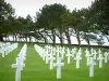 Colleville-sur-Mer美国公墓 - 美国军事公墓和树的坟茔