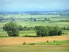 Colline de Sion-Vaudémont - Panorama depuis la butte-témoin