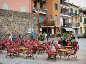 Collioure - Café terrace and colorful facades of the old town