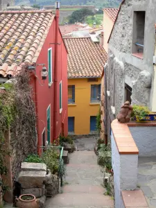 Collioure - Steep street and colorful facades of the old town