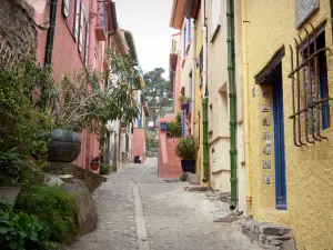 Collioure - Small street lined with colorful facades