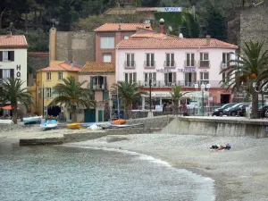 Collioure - Beach, Mediterranean sea, palm trees and facades of the old town