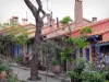 Collioure - Maisons fleuries