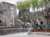 Collioure - Terrasse de café, platanes et château royal