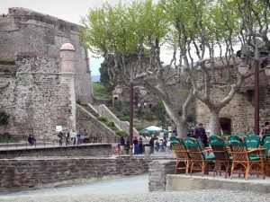 Collioure - Café terrace, plane trees and Royal castle