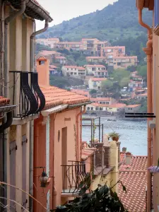 Collioure - Facades of houses in Collioure
