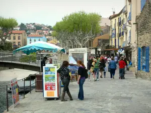 Collioure - Walk along the quay of the Admiralty
