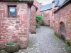 Collonges-ла-Руж - Мощеная аллея облицована домами из красного песчаника