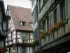 Colmar - Maisons à pans de bois aux fenêtres ornées de géraniums (fleurs)