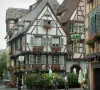 Colmar - Fachwerkhäuser mit Geranien (Blumen) und Schilder aus Schmiedeeisen