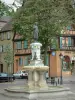 Colmar - Roesselmann fountain and houses in background