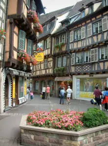 Colmar - Calle comercial con entramado de madera casas, tiendas y flores