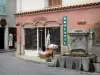 Colmars - Fountain, shops and houses of the medieval town