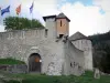 Colmars - Savoie fort