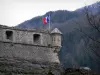 Colmars - Fort de France com torre de vigia e bandeira francesa; montanha coberta de árvores